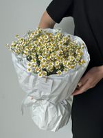 Букет моно из ромашек