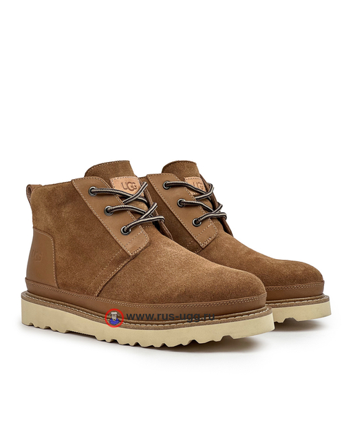 NEUMEL GENTLEMAN Chestnut