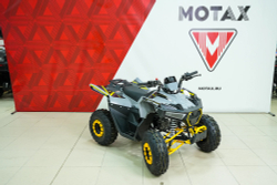 Квадроцикл бензиновый MOTAX GRIZLIK RAPTOR D125