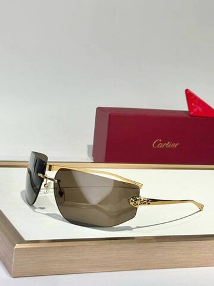 Солнцезащитные очки Cartier, арт. 483891530