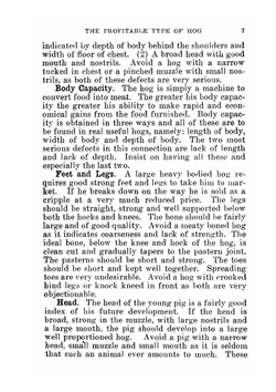Profitable Pork Production: A Book For Farmers And Swine Growers | Kennedy Willard John