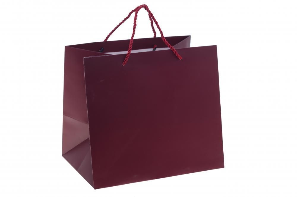 GAEM Пакет подарочный (бумага 230г/м2, блок 12шт), L28 W20 H25 см, 5в.