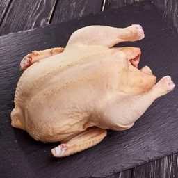 Птица