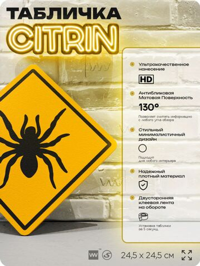 Табличка прикольная "Осторожно, паук №2" на дверь и стену, информационная и предупреждающая, декоративный знак, 24,5х24,5 см, пластиковая, Айдентика Технолоджи