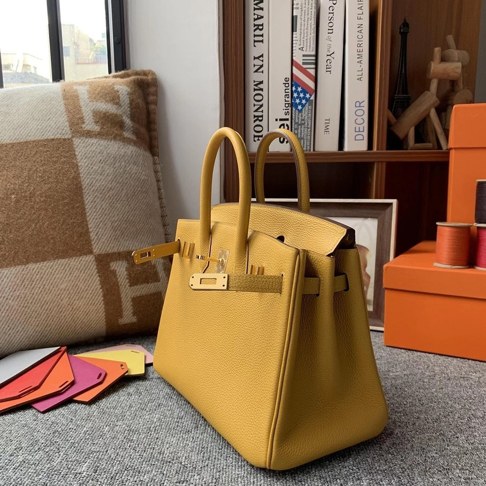 Hermes Birkin 25