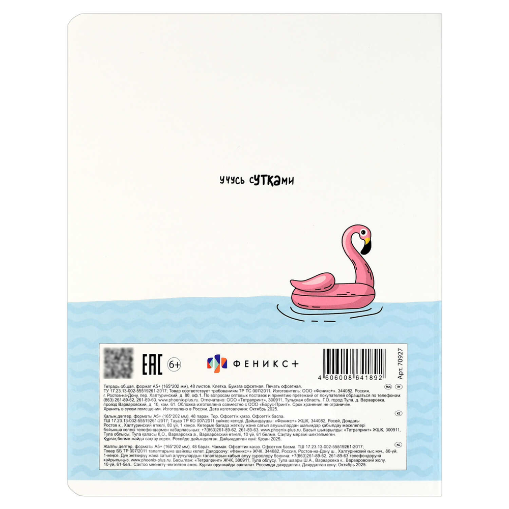 Тетрадь, 48 л, клетка, ГОРОДСКИЕ ИСТОРИИ /А5