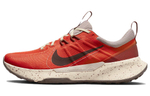 Кроссовки Nike Juniper Trail 2
