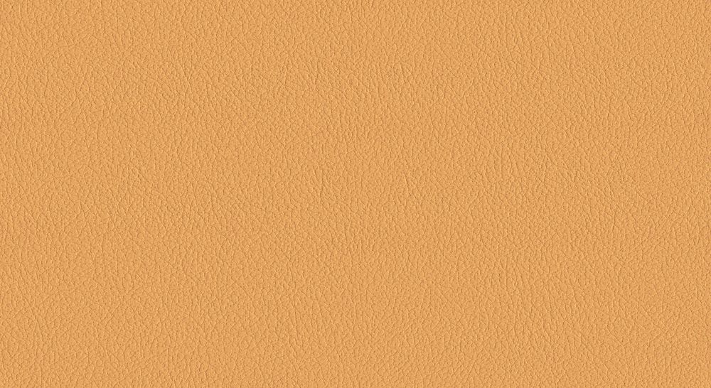Искусственная кожа Oracul (Оракул) 542