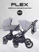 Коляска 2 в 1 Rant Flex 2025 RA076