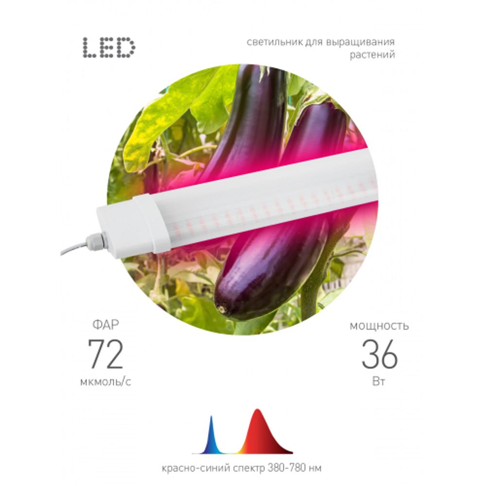 Светильник для растений, фитолампа светодиодная линейная ЭРА FITO-36W-RB-N красно-синего спектра 36 Вт