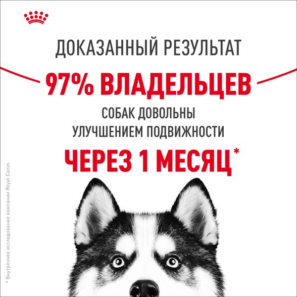 Сухой корм Royal Canin Maxi Joint Care для взрослых собак крупных размеров с повышенной чувствительностью суставов