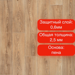 Линолеум Tarkett Force Canasta 3