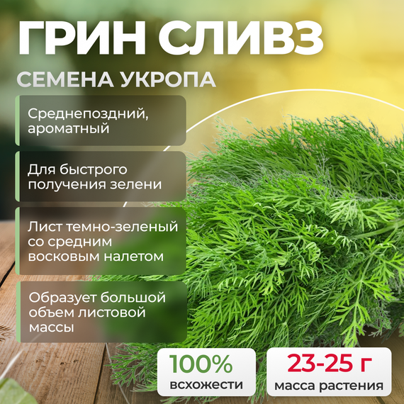 ГРИН СЛИВЗ семена укропа (Enza Zaden) культура