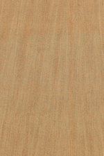 Arte Amazone 2 Pristine – 23521