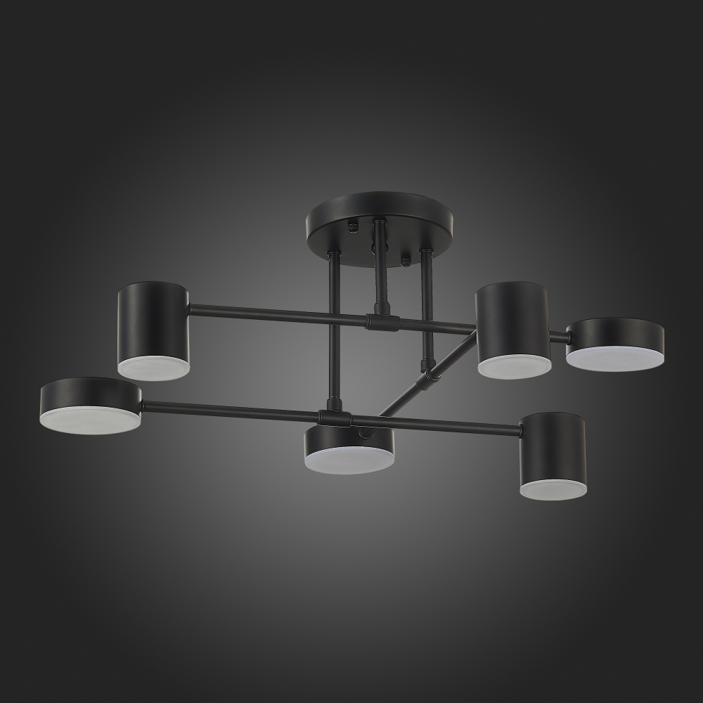 Светильник потолочный Evoluce Nobel SLE201042-06