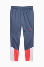 Штаны Puma individualCUP Training