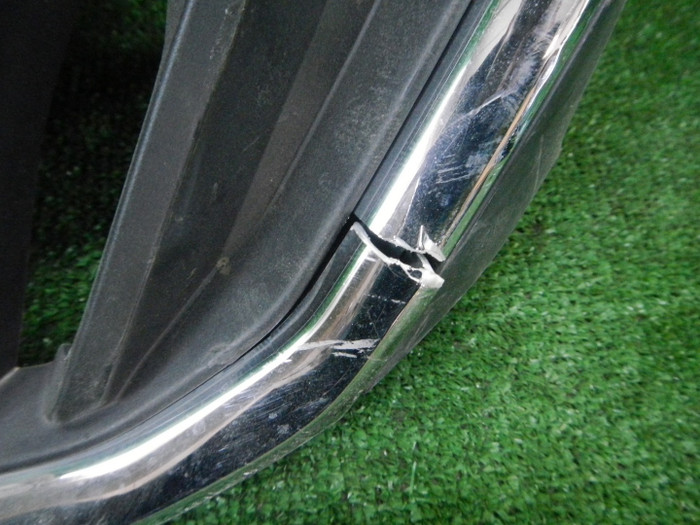DSCN7979.JPG