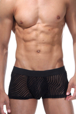 Черные полупрозрачные трусы-хипсы (Размер: M) (Цвет: черный)