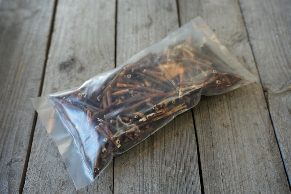 Сабельник болотный