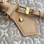 Louis Vuitton Speedy Soft 30