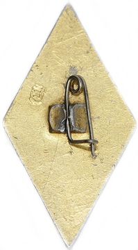 Значок "ВДПО", СССР, булавка