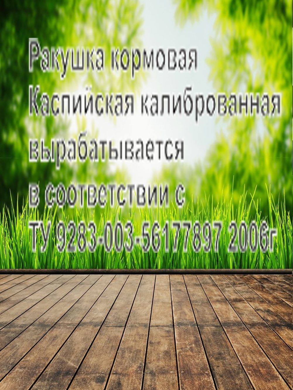Ракушка морская кормовая для птиц