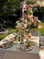 Horse Party for Mila