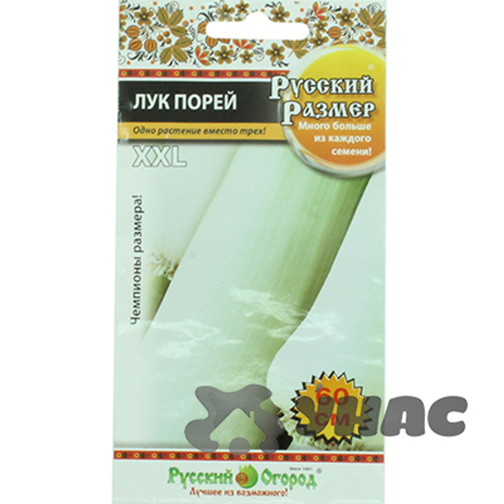 Лук-порей Русский размер НК Ц