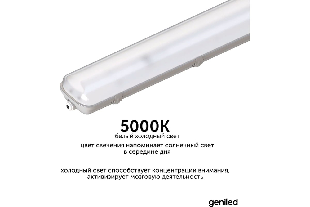 Светильник Geniled ЛСП Basic (аналог 2x18) 600 IP65 20Вт 5000К Матовый