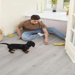 Ламинат 2498 Блум Серебристо-Серый Berry Alloc