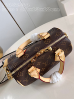 Louis Vuitton Speedy 20
