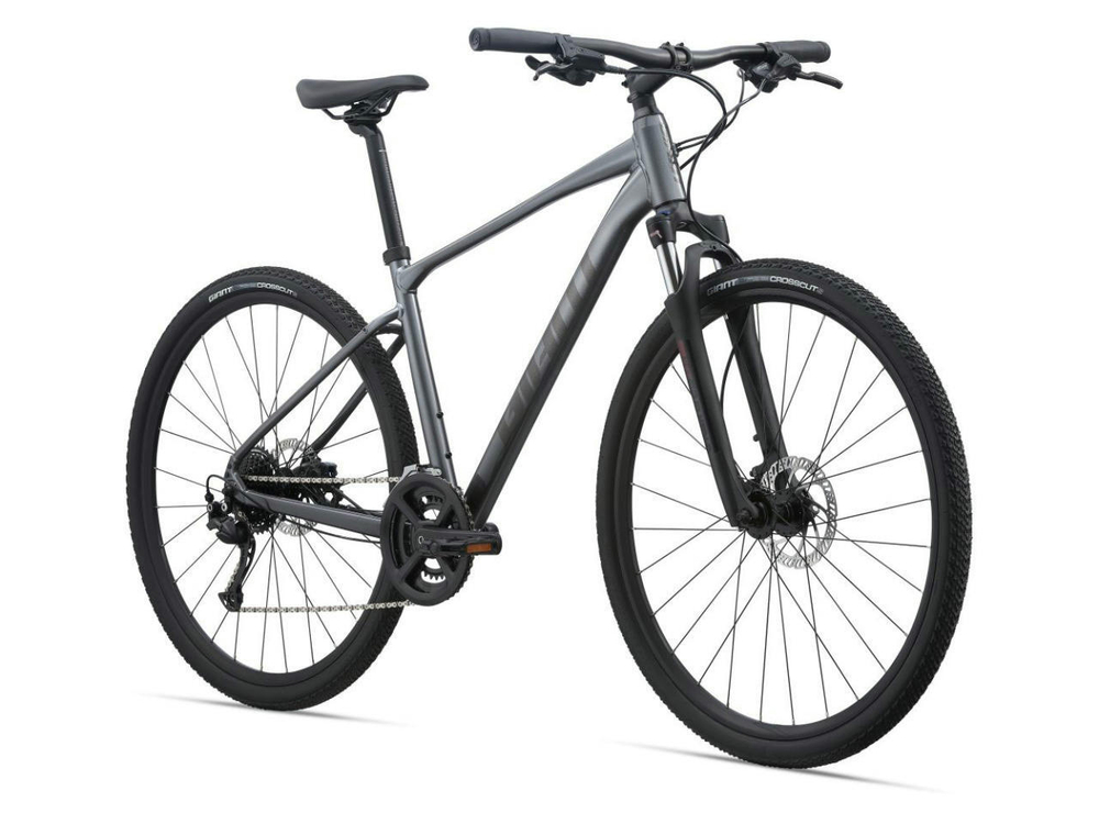 Городской велосипед Giant Roam Disc 2 (2022)