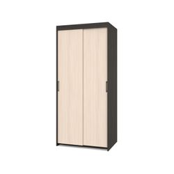 Шкаф-купе двухстворчатый "Томас" Т21, ЛДСП, MODERN, г. Ижевск