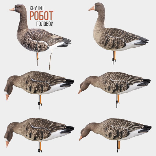 Белолобый гусь Duck Mania "ELITE ROBOT"