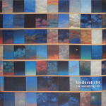 Tindersticks / The Something Rain (LP)