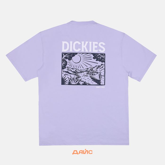 Футболка мужская Dickies Patrick Springs Tee  артикул:DK0A4YR7H181 - купить в магазине Дайс