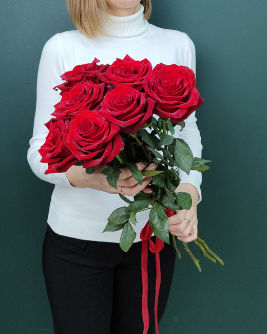 Роза красная Эксплорер,7 штук(00081)