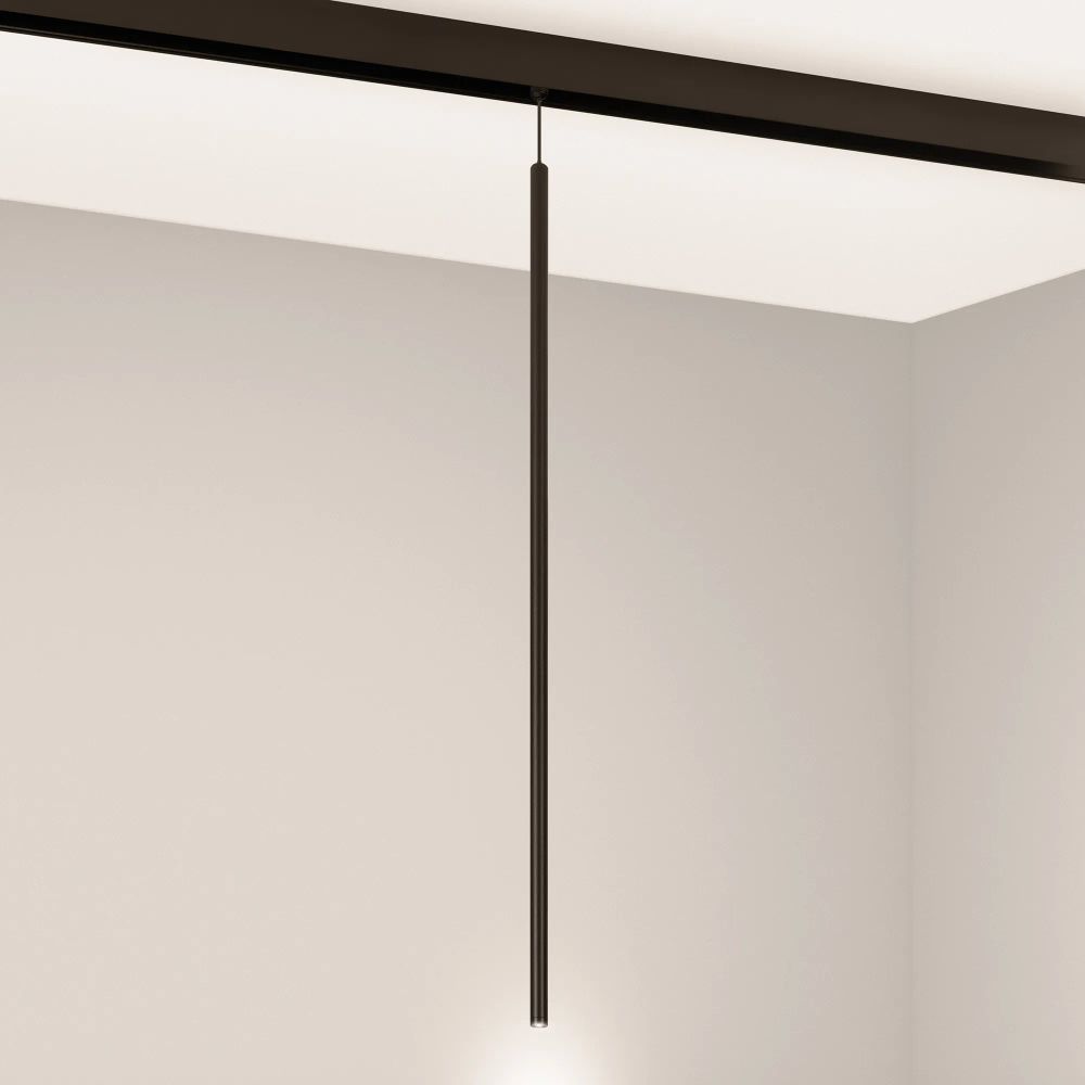 Светильник MAG-ORIENT-SPOT-HANG-L600-R12-2W Warm3000 (BK, 20 deg, 48V) (Arlight, IP20 Металл, 5 лет) 044502