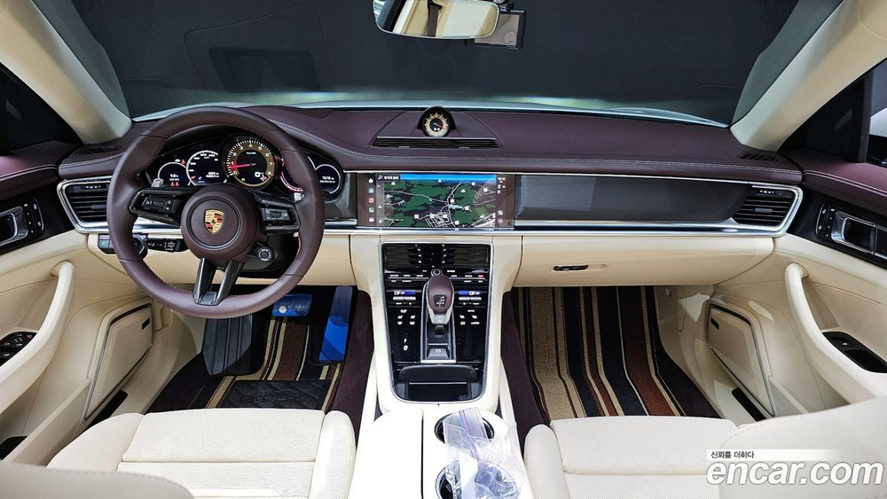 Porsche Panamera (971) 2.9 AWD Platinum Editions (04.2023)