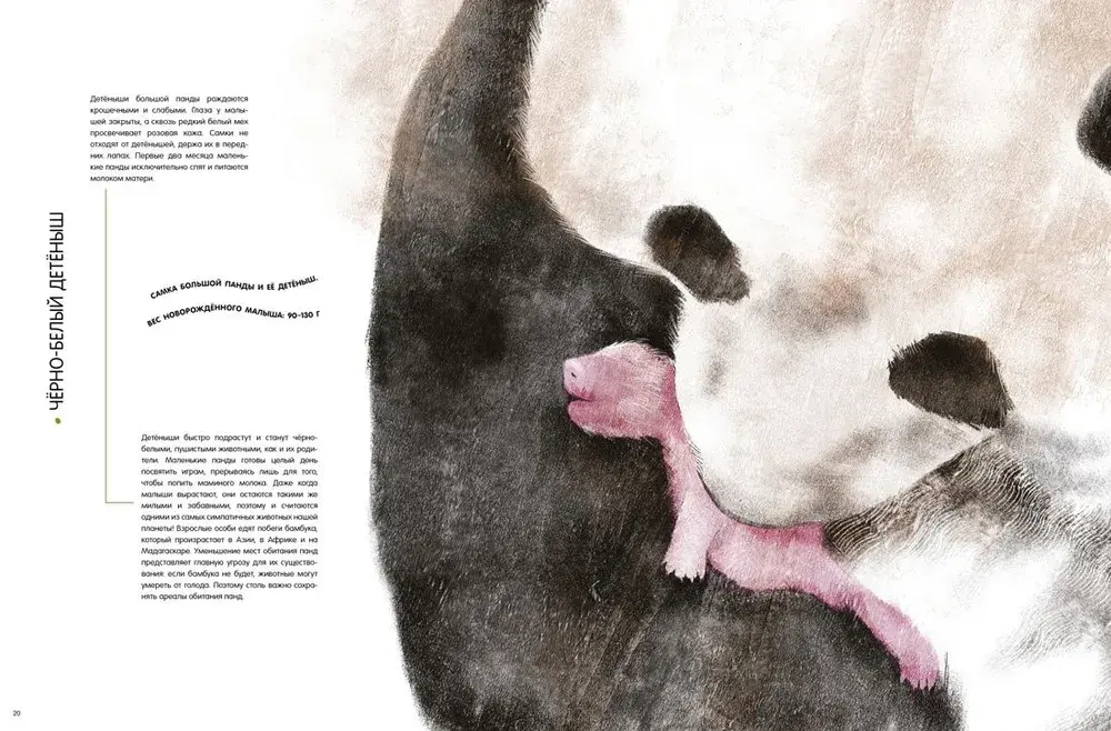 Детёныши животных в натуральную величину