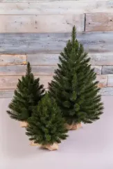 Елка Лесная Красавица в мешочке 60 см., леска, Triumph Tree (73668)