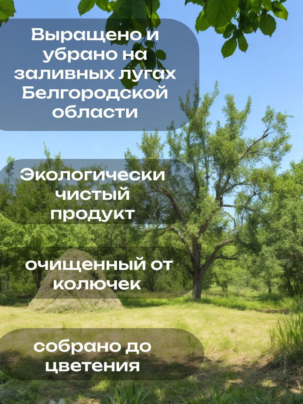 Сено луговое 900 грамм в тюках (брикетах)