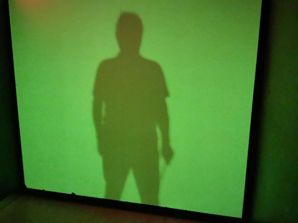 Учебный экспонат Замороженные тени Учебный экспонат Замороженные тени