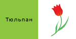 9 книжек-кубиков. Книжки-кубики для девочек
