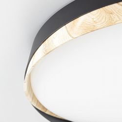 Накладной светильник Citilux BONNY CL754351G