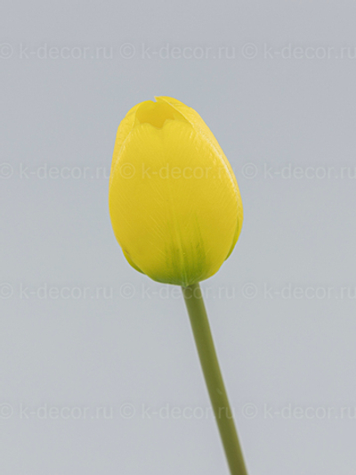 Тюльпан силикон VIP желтый