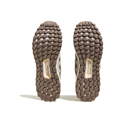 Кроссовки UltraBoost DNA Guard 'Aluminium Chalk Brown' H03601