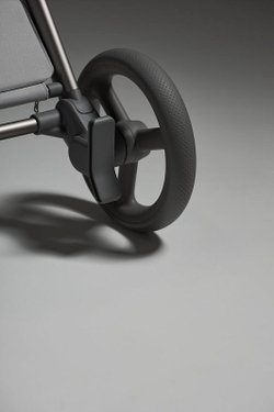 Детская коляска Anex Flo 2 в 1 Frossy