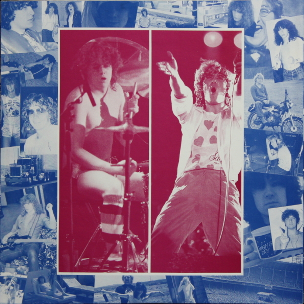 Def Leppard / High 'N' Dry (LP)