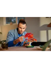 Конструктор Botanical Collection 10348 Японский красный клен